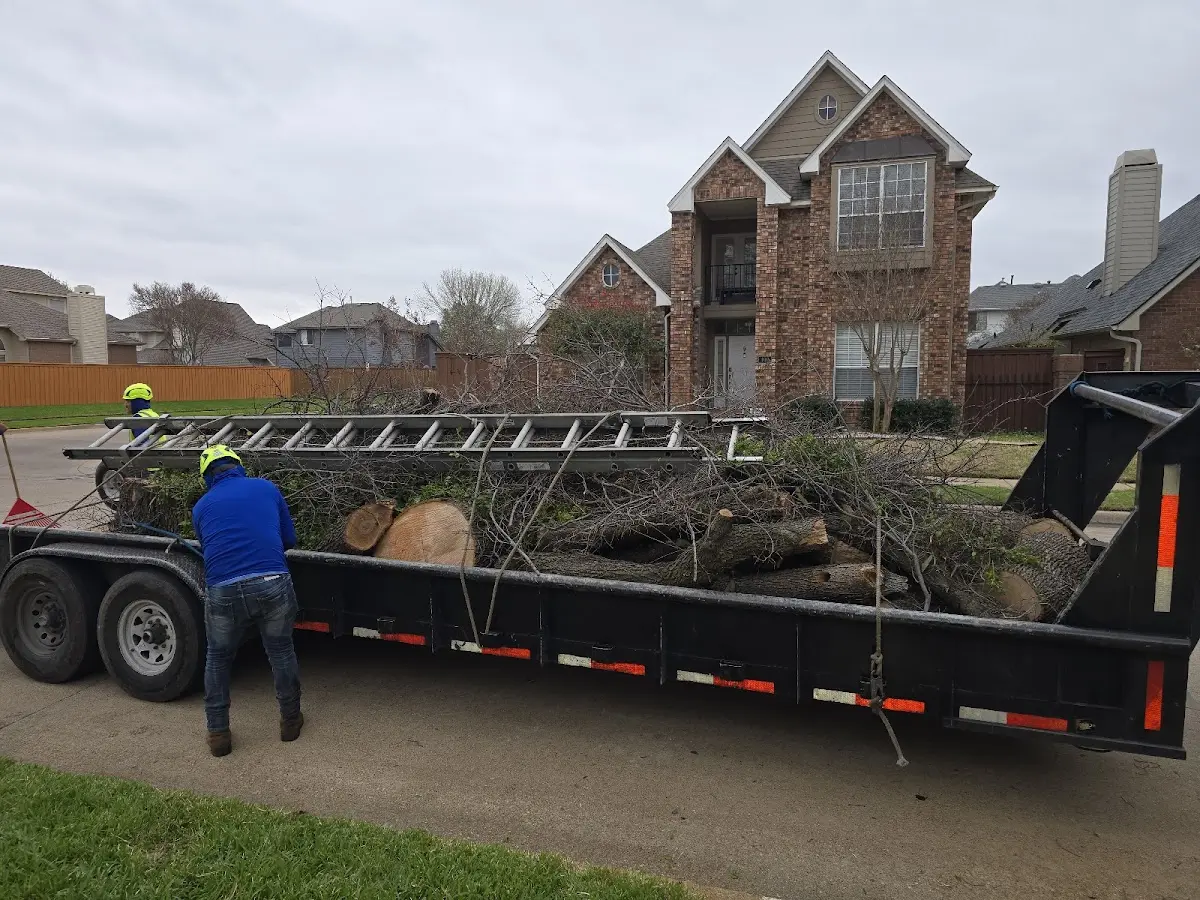 Expert Tree Fertilization with proper safety equipment in Clarksburg